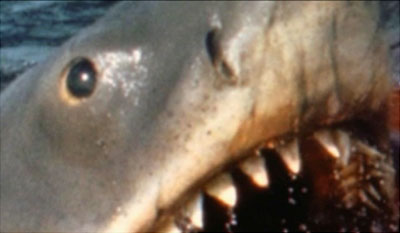 The Shark is Still Working: The Impact and Legacy of Jaws