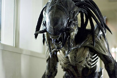 AVPR - Predalien